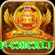 2022 world cup cricket Pro v2.2.2