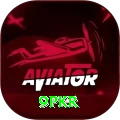9pkr Pro Max vv4.6.1