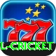 all cricket Pro Edition v1.1.1