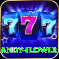 andy flower Apps (Tools & Injectors) VIP v5.3.0