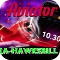antigua hawksbill Pro Edition v5.4.3