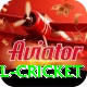 bbl cricket Master Pro v3.2.6