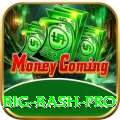 big bash Official v1.3.5