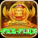 Bingo PKR Premium PK v4.7.7