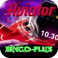 bingo Ultimate Pro v2.9.3