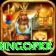bingopkr Pro1 v5.3.4
