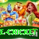 bpl live cricket Games (Casino & Earning) Pro v5.4.7