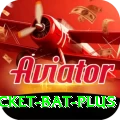 cricket bat Casino Official v1.3.8