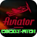 cricket pitch Games (Casino & Earning) Turbo v3.6.5