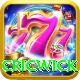 cricwick Pro