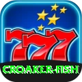 croaker fish