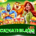 danushka gunathilaka Plus Pro v2.0.3