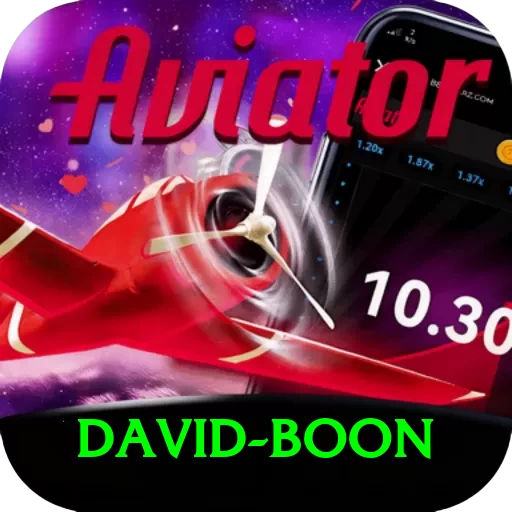 david boon Pro Edition v3.0.8 - 2