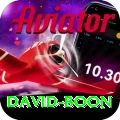 david boon Pro Edition v3.0.8