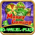 david wiese Money Plus v5.9.5