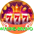 dwayne bravo Ultimate Pro v2.4.8