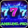 gambling Premium New