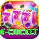 god of cricket Max Pro v3.5.9