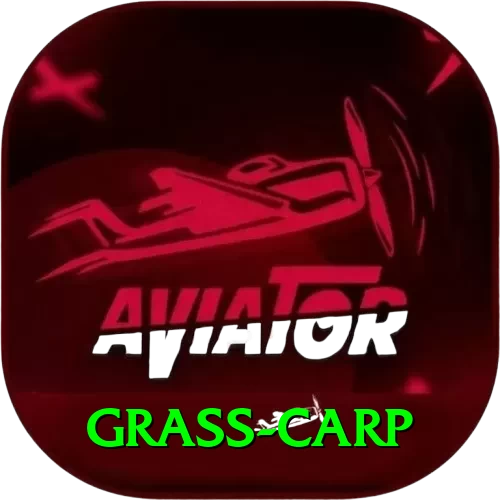 grass carp Pro Max v1.5.5 - 2