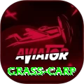 grass carp Pro Max v1.5.5