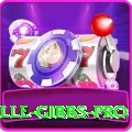herschelle gibbs Jackpot Mega v3.6.3