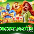india cricket match Deluxe v3.4.7