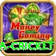 india sri lanka cricket VIP Edition v1.7.0