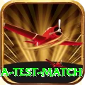 india test match Deluxe Pro v4.2.9