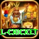 international cricket Games (Casino & Earning) Master v3.3.5