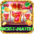 international cricket match Elite v3.9.8