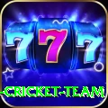 ireland cricket team Deluxe Edition v2.5.1