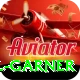 joel garner Premium Edition v5.0.6