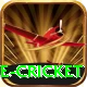 mobile cricket Deluxe v2.1.4