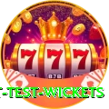 most test wickets Elite v4.6.6
