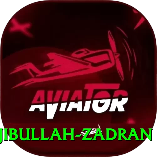 najibullah zadran Games (Casino & Earning) Max v5.3.1 - 2