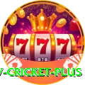 ndtv cricket Super PK v3.3.4