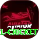 nepal cricket Master Pro v2.9.3