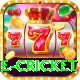 one cricket