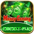 online cricket Official v3.3.2
