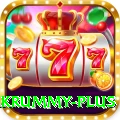 pakrummy Premium v3.3.2
