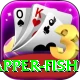 red snapper fish Plus v1.1.7