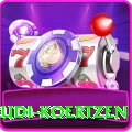 rudi koertzen VIP Edition v4.0.1