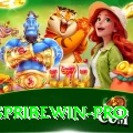 spribewin Plus Edition v4.5.1
