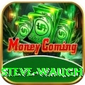 steve waugh Plus Pro v1.5.6