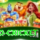 t20 cricket Gold Pro v2.1.2