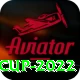 t20 world cup 2022 VIP v2.0.3