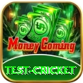 test cricket Ultimate v2.6.8