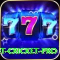 test cricket Prime v5.1.6