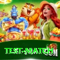 test match Max Pro v4.4.5