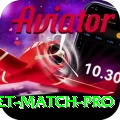 to day cricket match Gaming Gold v4.0.9
